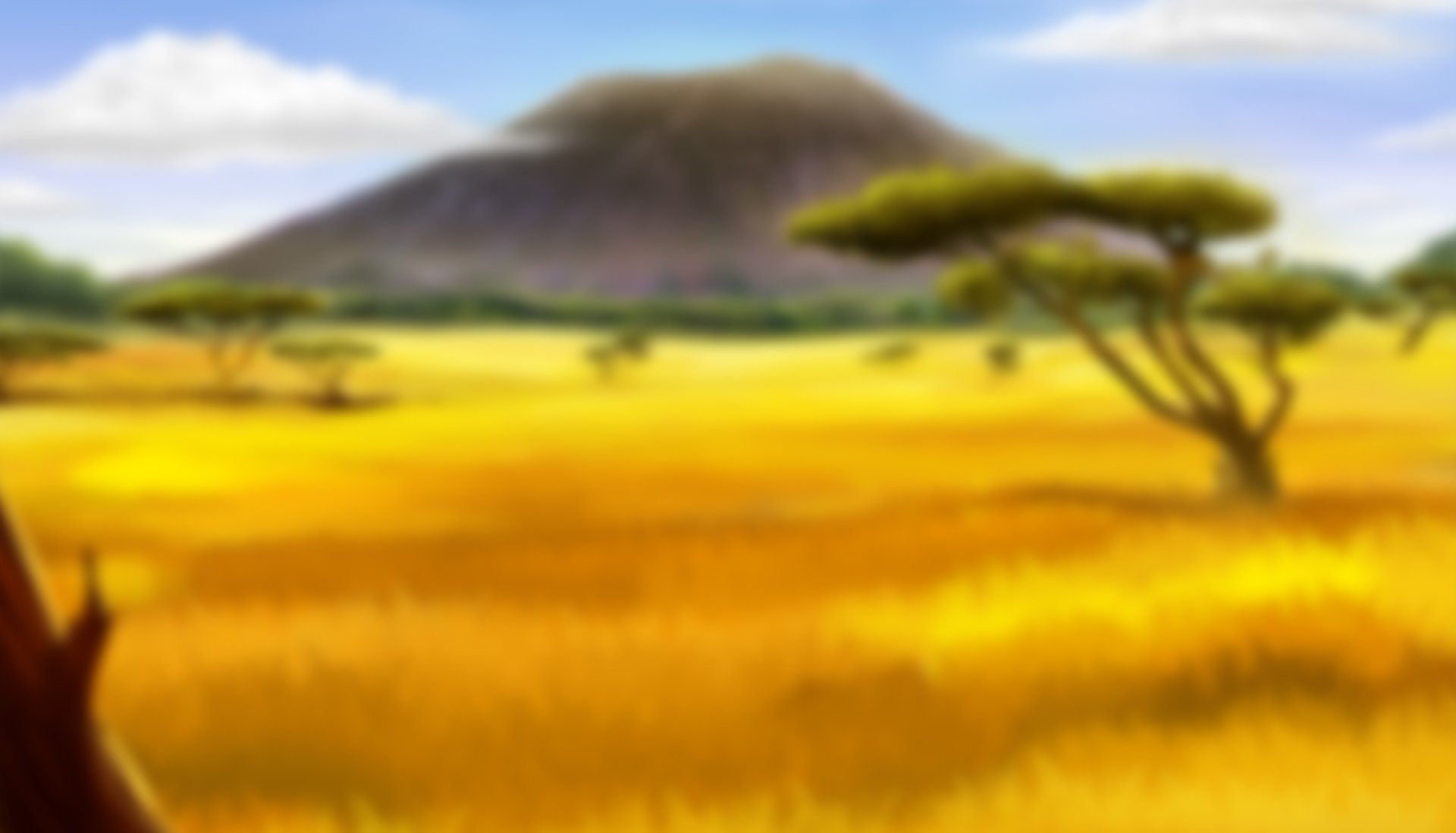 Photo Safari background