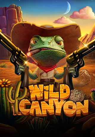Wild Canyon - Video Slot (Stakelogic)
